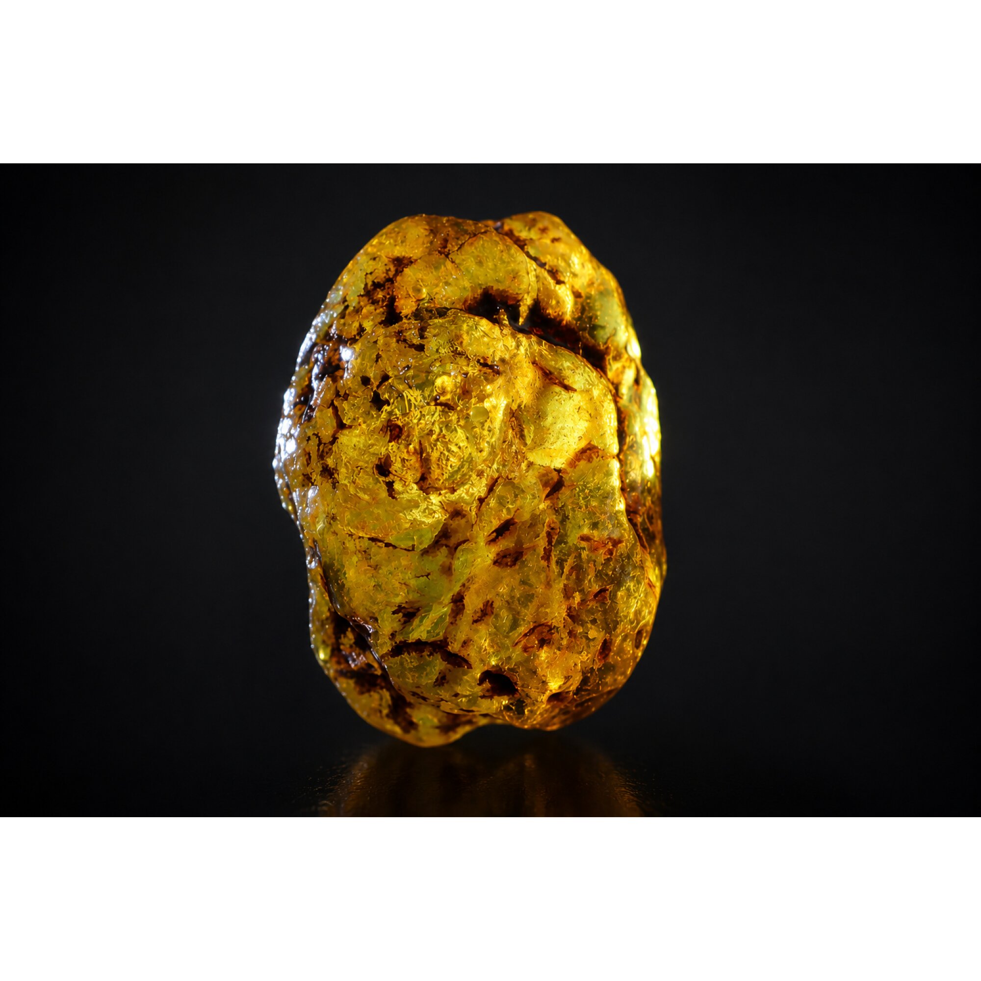 Clear orange yellow Natural Dominican Amber rough Specimen 47 mm – photo 3