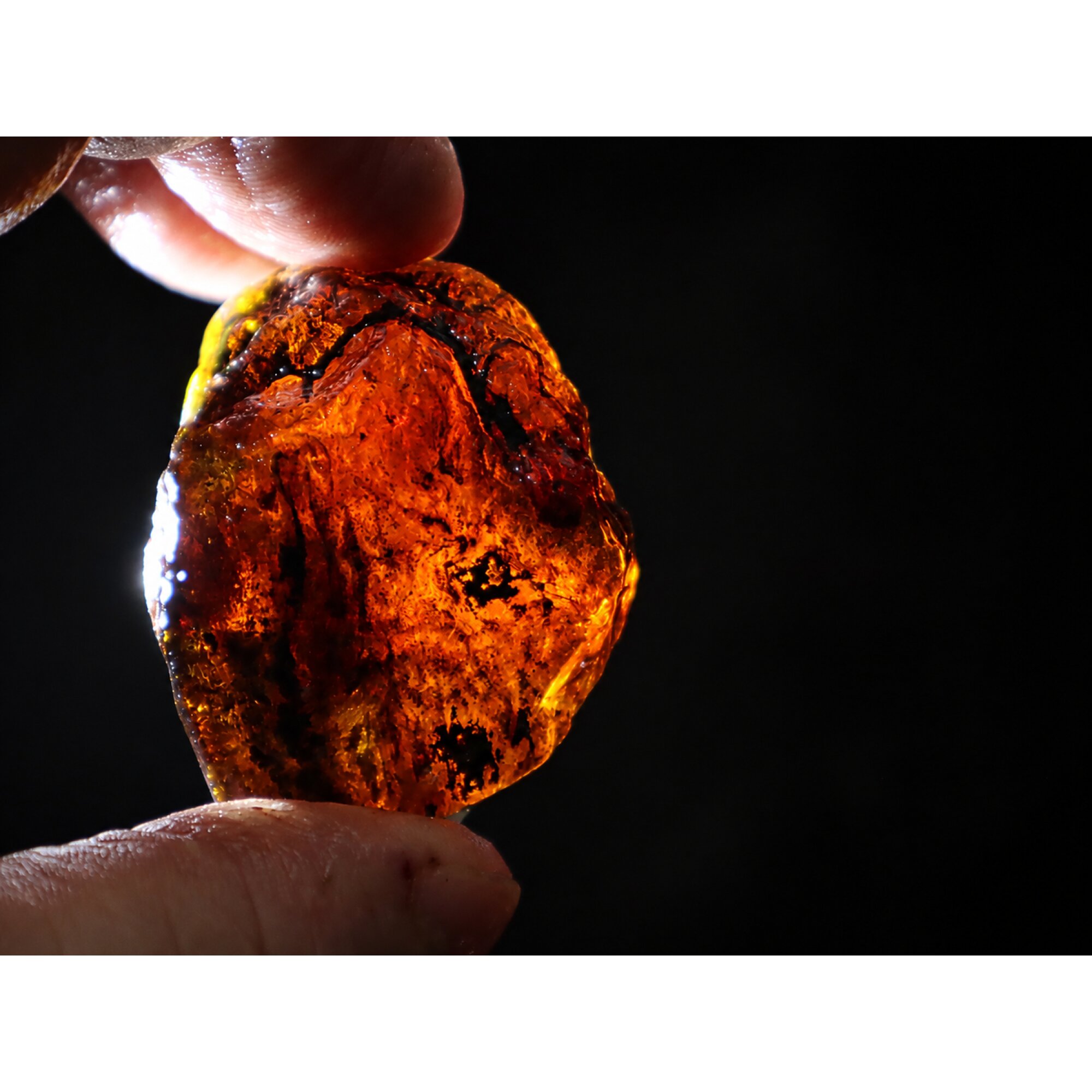 Clear deep blue Natural Dominican Amber rough Specimen 44 mm – photo 6
