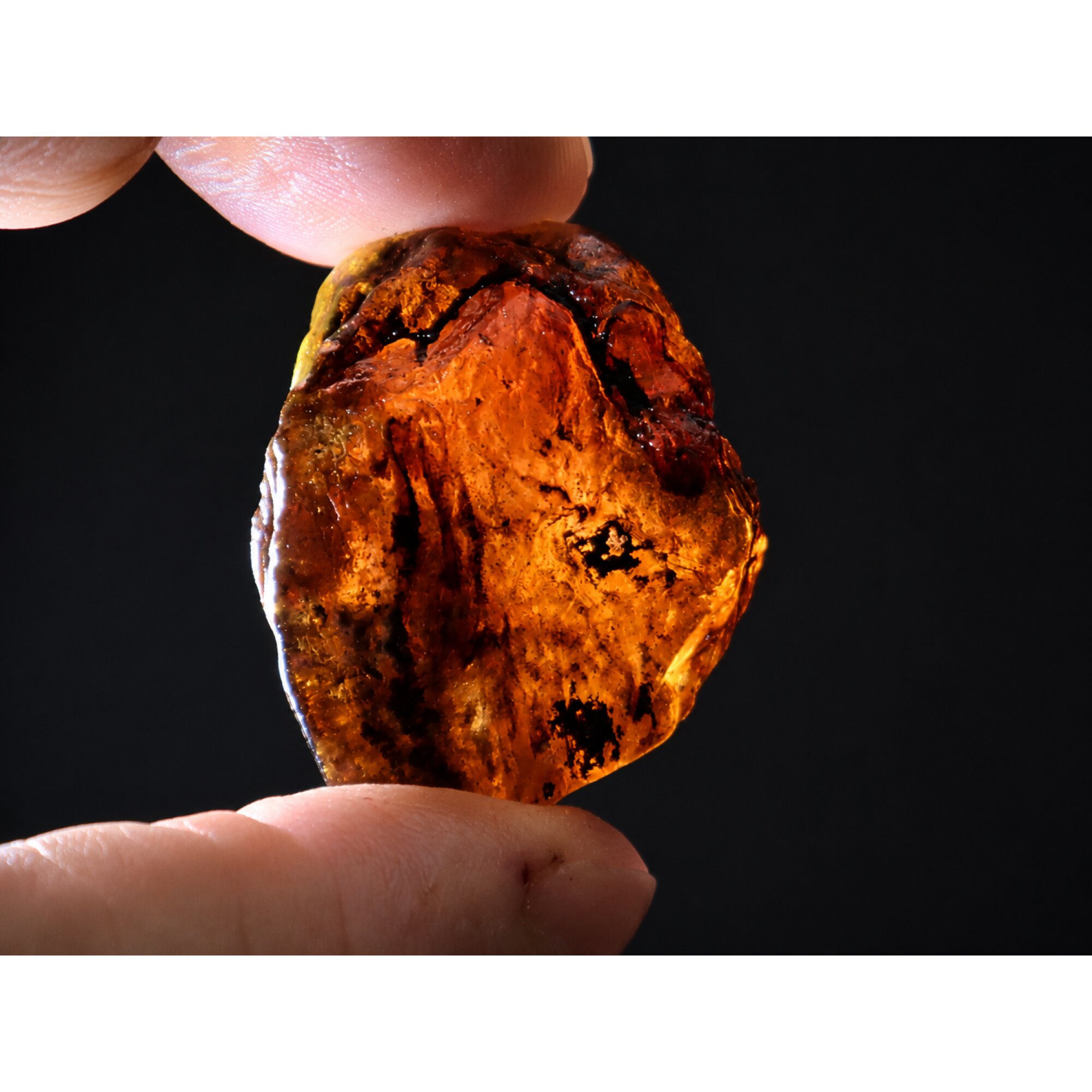 Clear deep blue Natural Dominican Amber rough Specimen 44 mm – photo 8