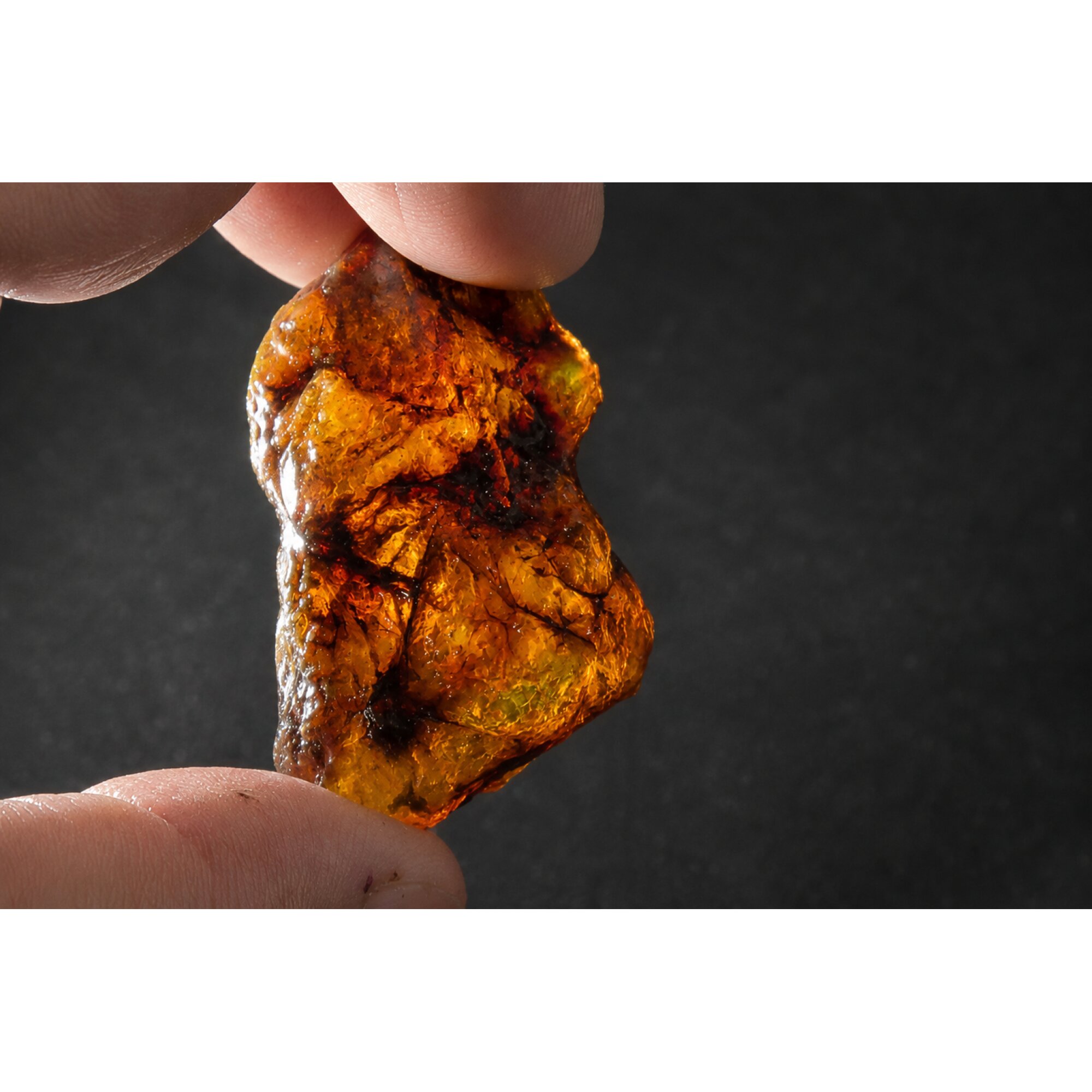 Clear deep orange Natural Dominican Amber rough Specimen 46 mm – photo 7