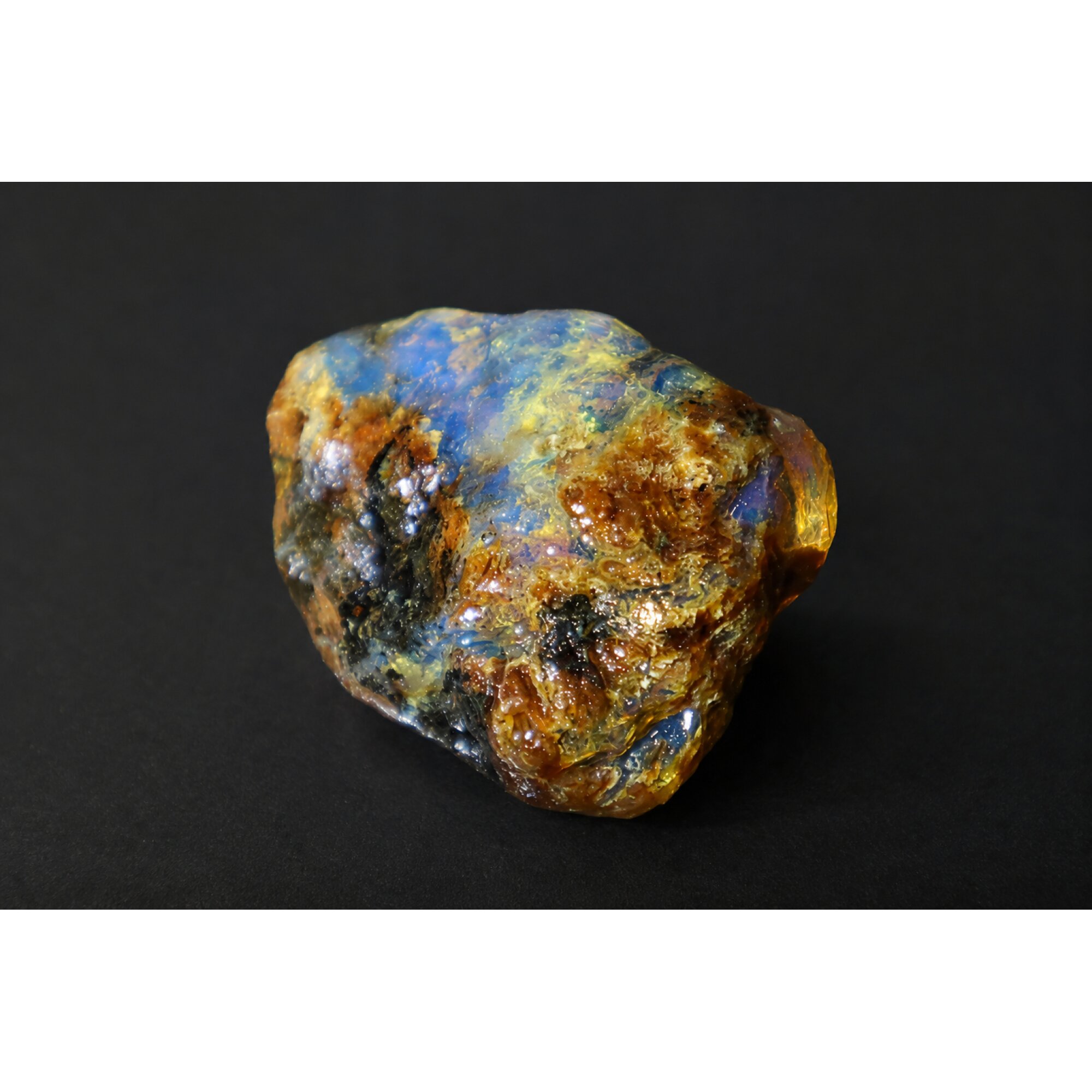 Translucent royal blue Natural Dominican Amber butterscotch Rough Specimen 33 mm – photo 5