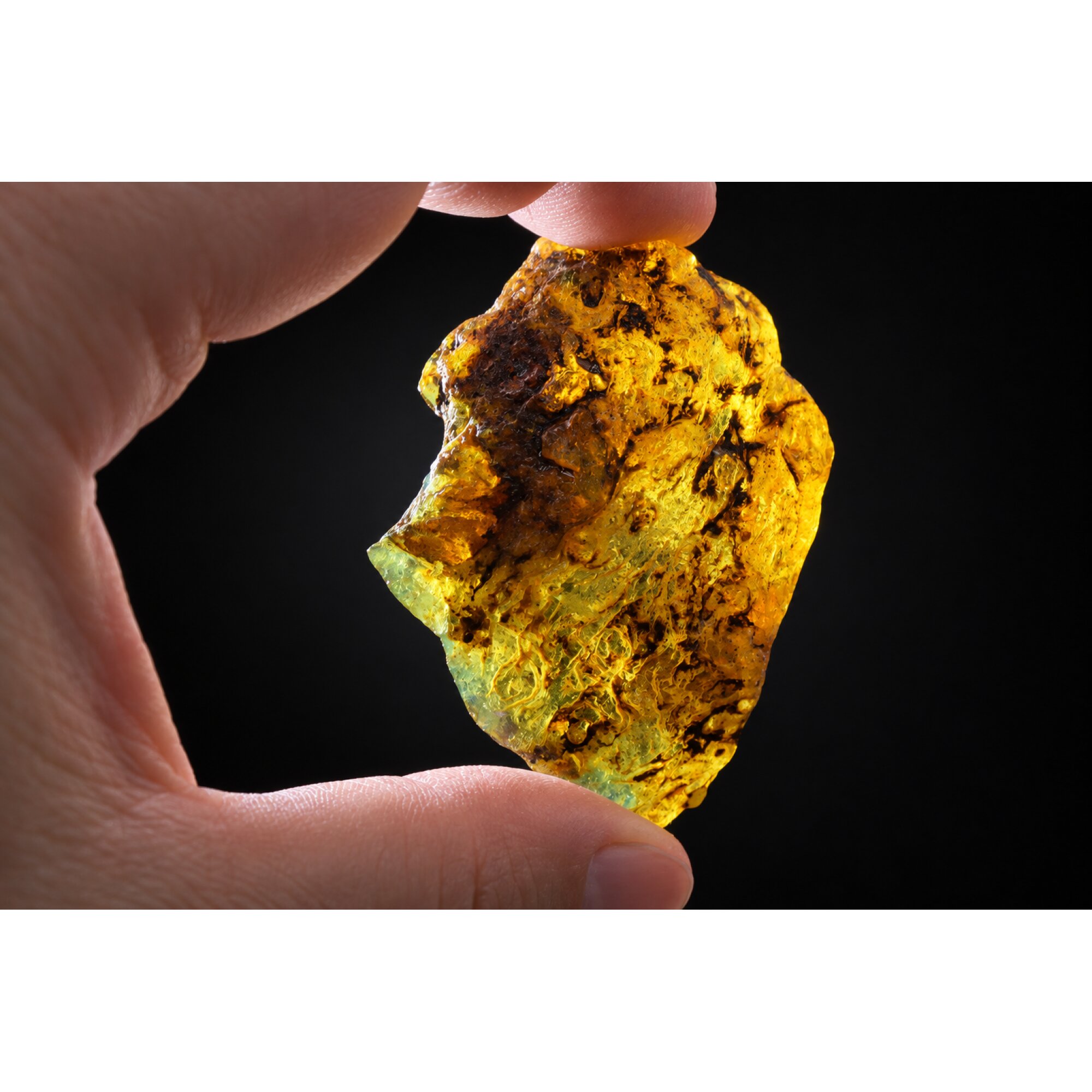 Clear yellow green Natural Dominican Amber raw 925 Sterling Rough Specimen 62 mm – photo 2