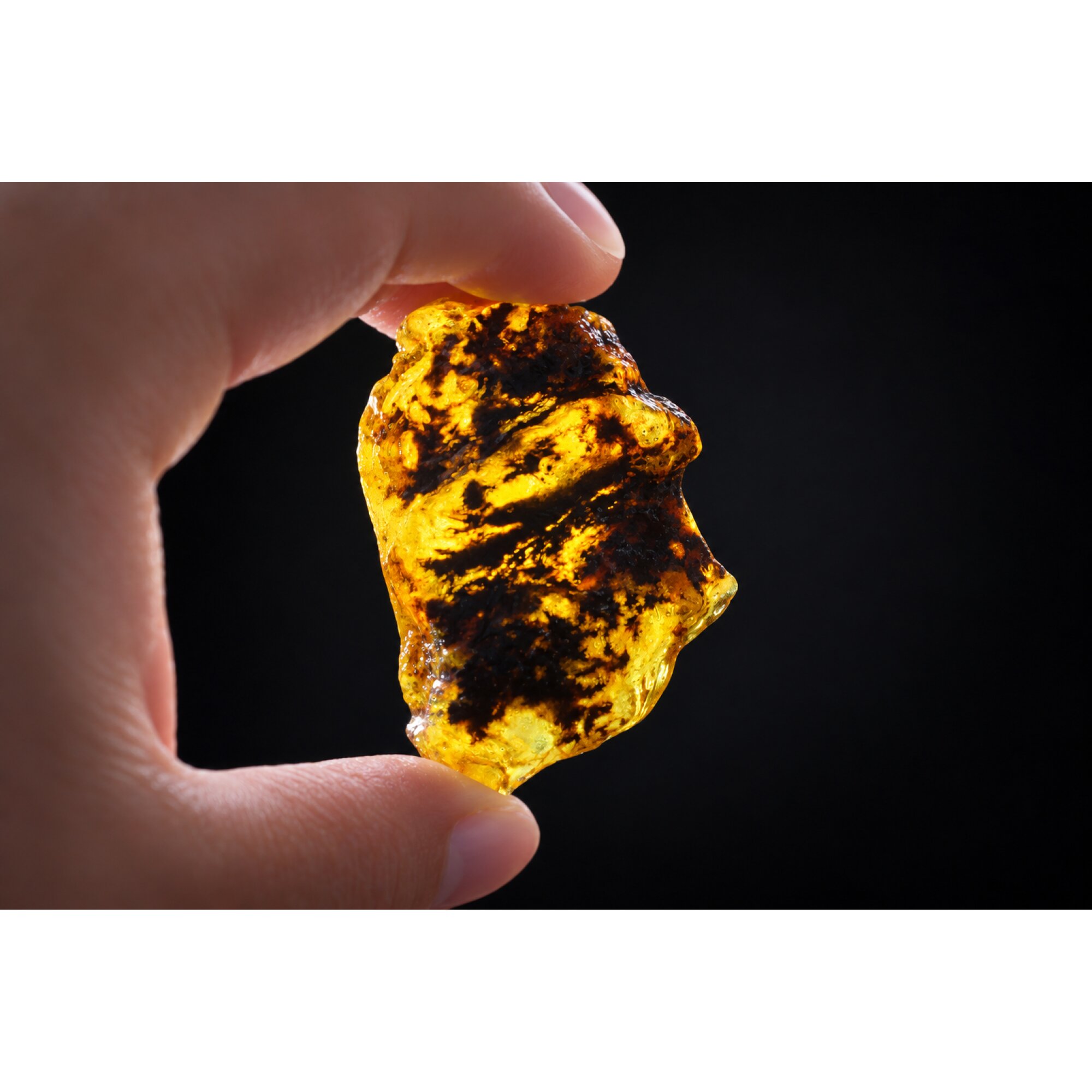 Clear yellow green Natural Dominican Amber raw 925 Sterling Rough Specimen 62 mm – photo 6