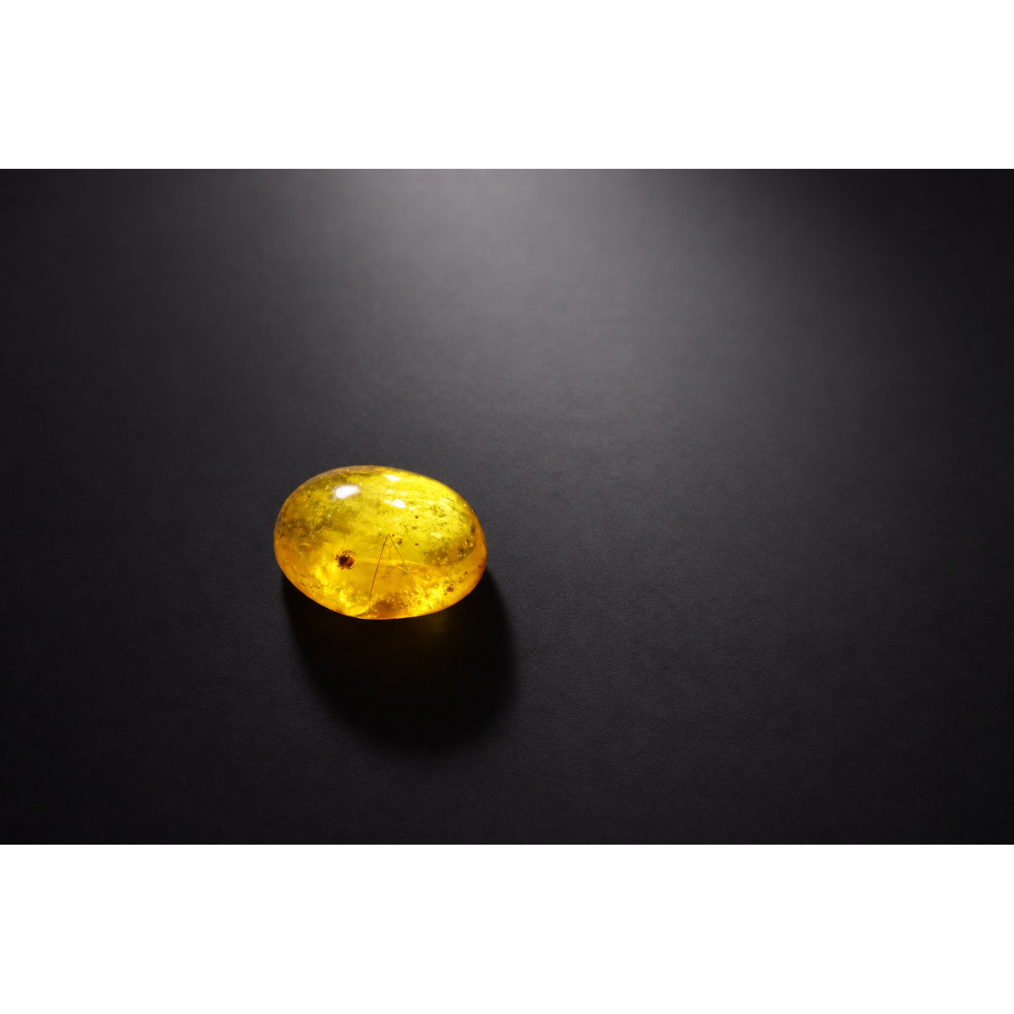 Genuine yellow Dominican amber spider or scorpion insect stone 18mm – photo 4