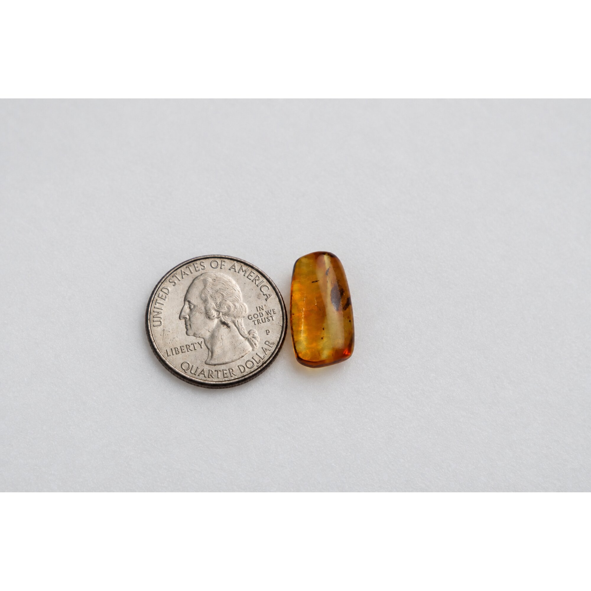 Genuine yellow Dominican amber small rove beetle insect stone 20mm – photo 8