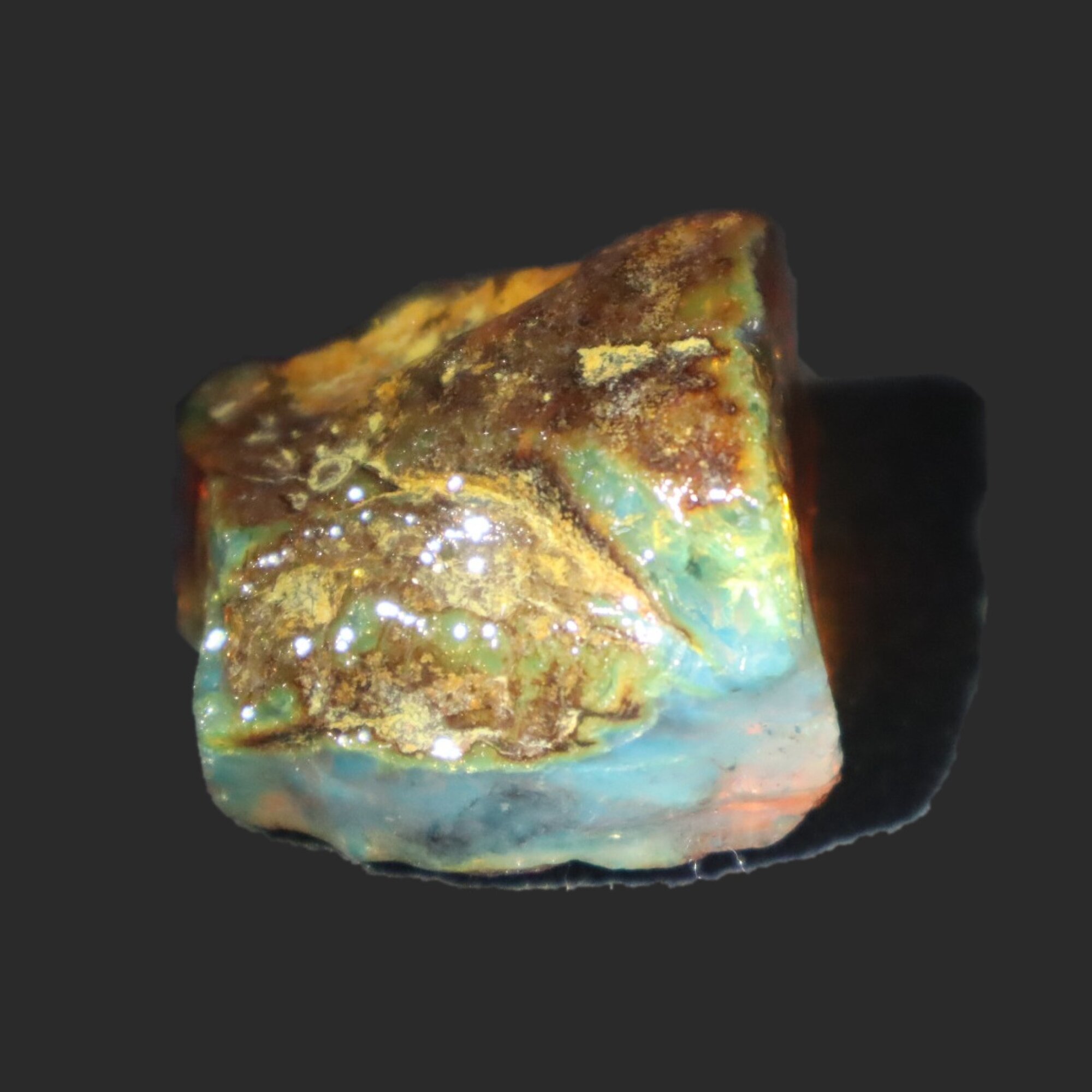 Naturally formed cognac blue rough specimen Dominican amber 31mm – photo 7