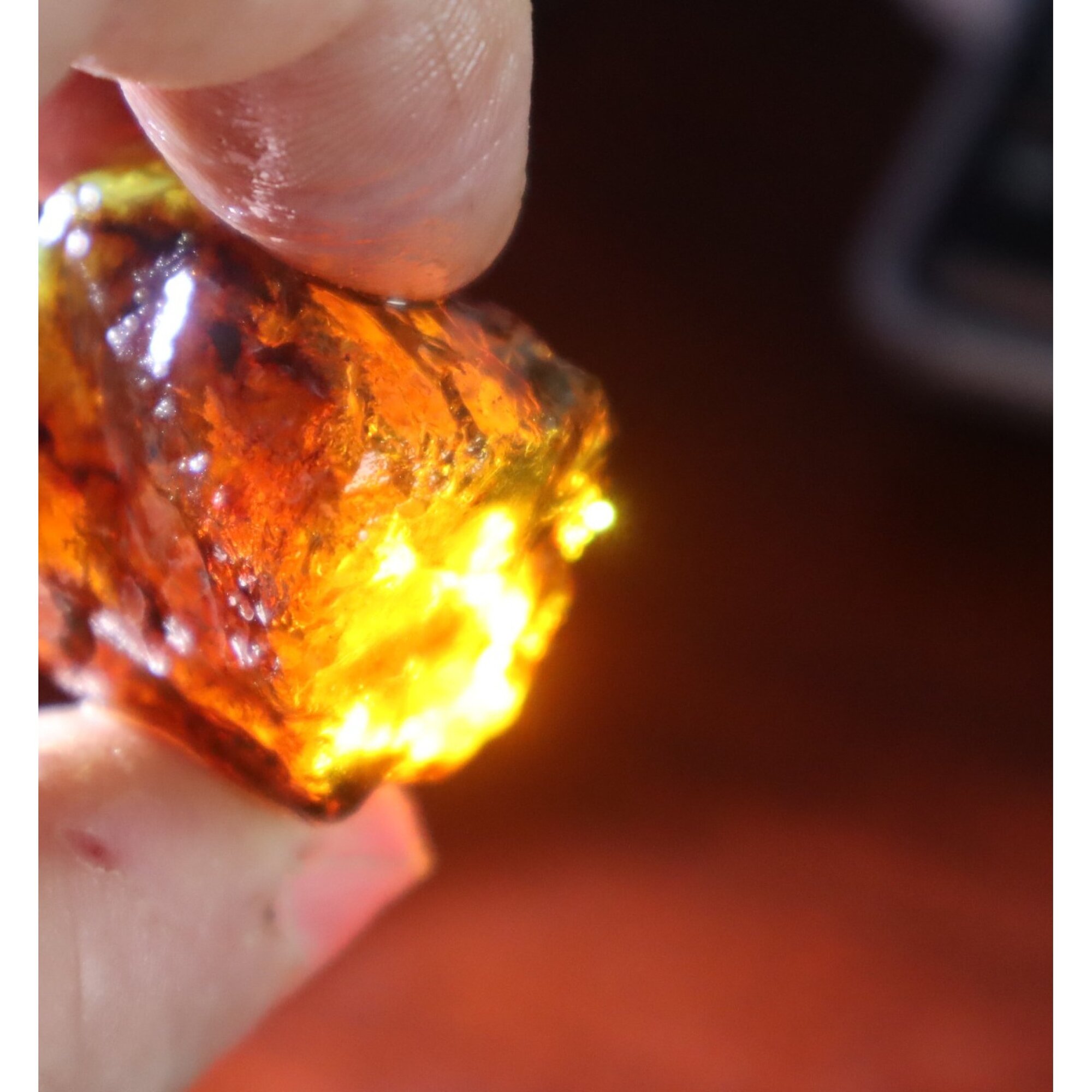 Naturally formed cognac blue rough specimen Dominican amber 31mm – photo 14