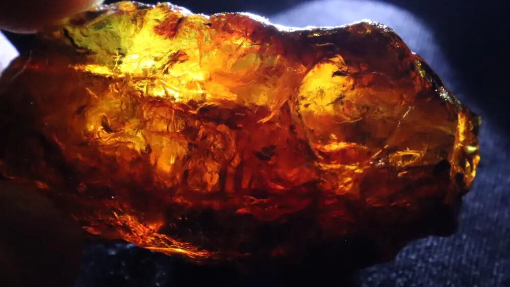 Beautiful Natural Dominican Clear Orange Blue Amber Rough Specimen 53mm 22g – photo 6