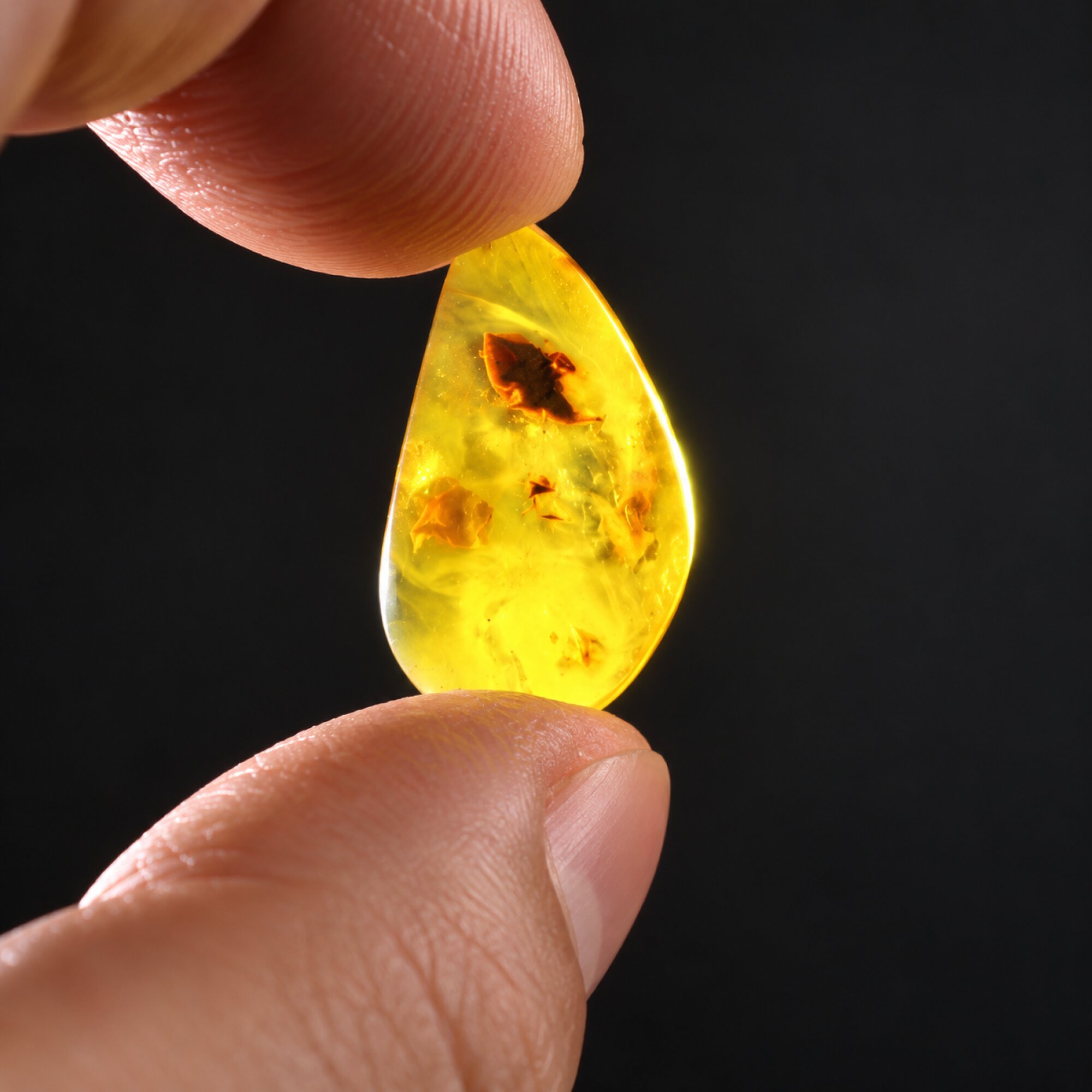 Natural green yellow polished Dominican amber – photo 5