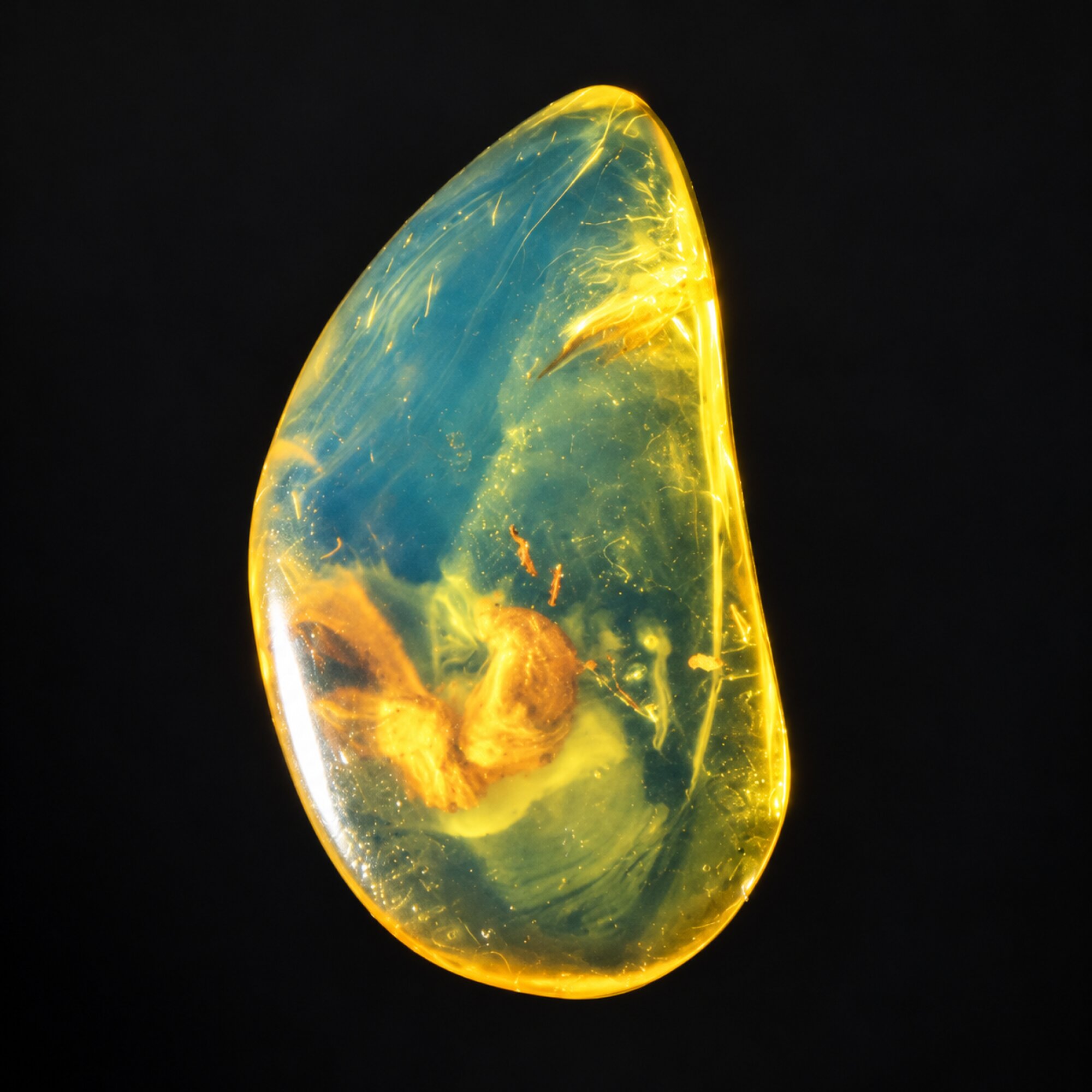 Untreated deep bkue Dominican amber cabochon