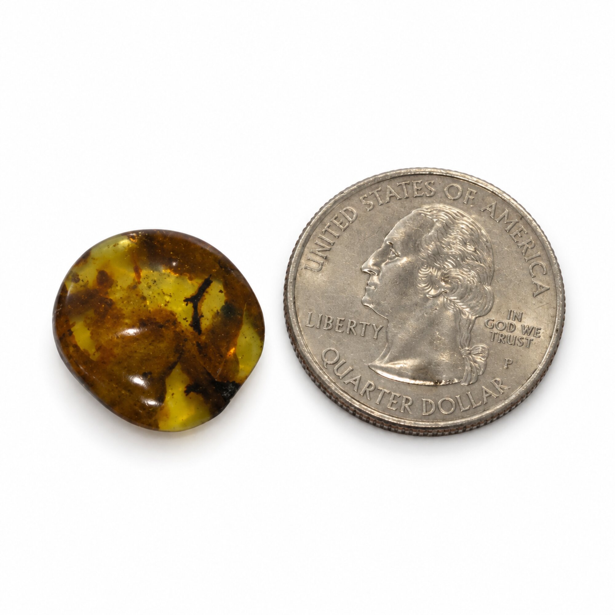 Untreated deep bkue Dominican amber cabochon – photo 6