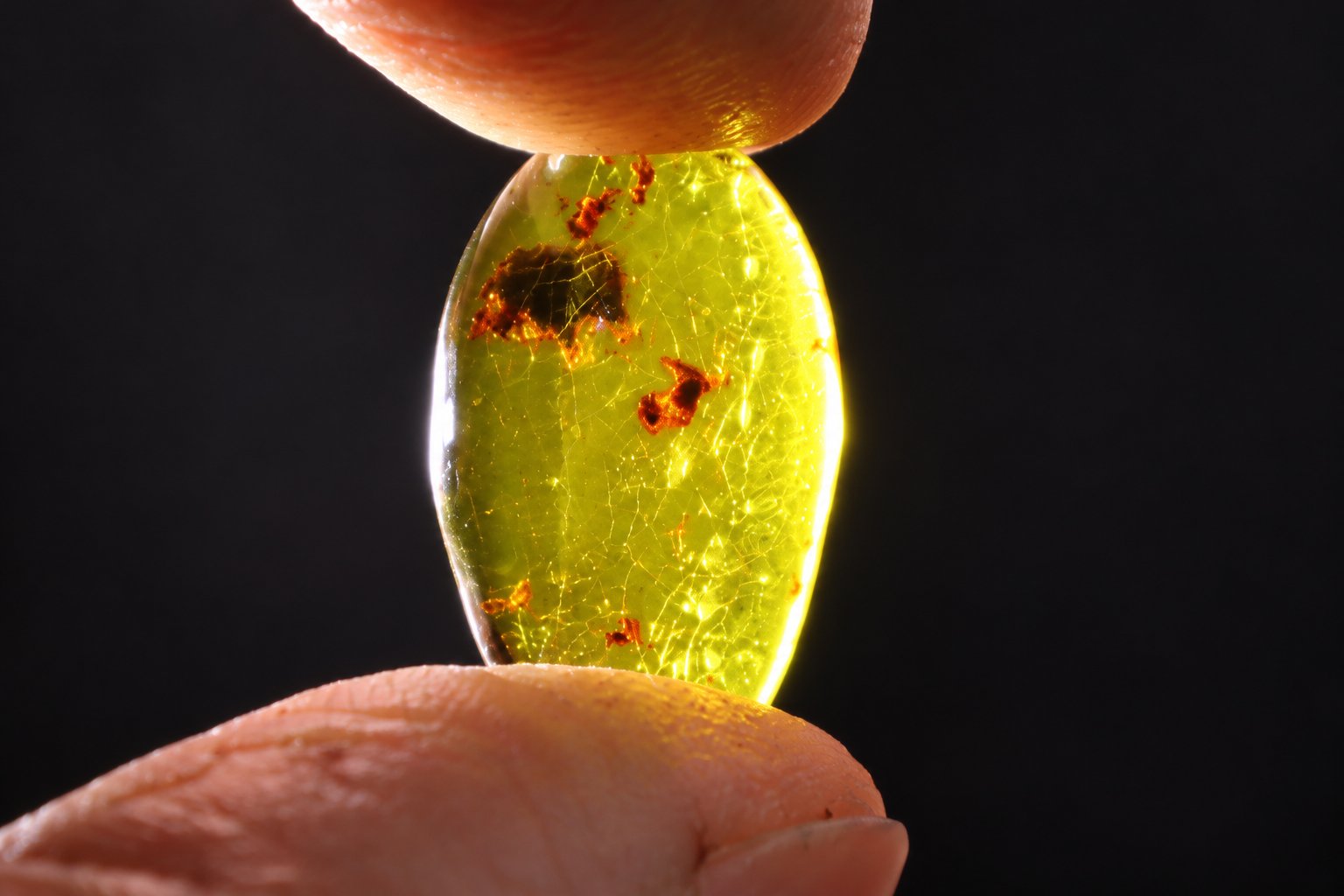 Authentic deep green Dominican amber cabochon – photo 5