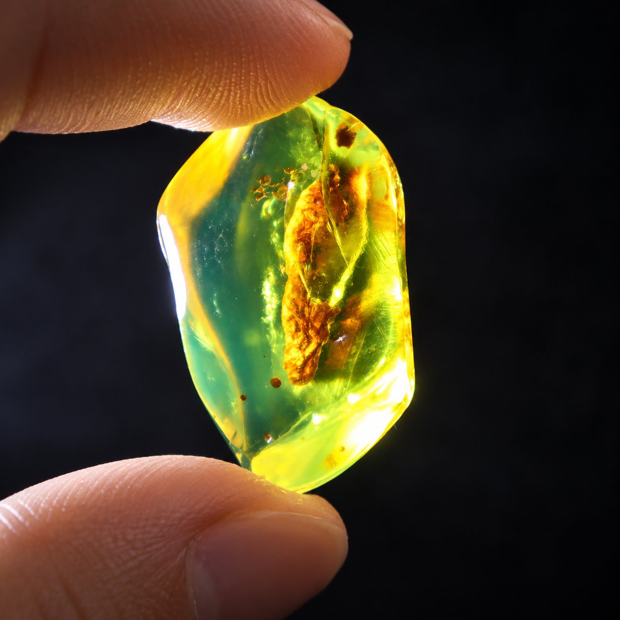 Authentic yellow green polished Dominican amber – photo 10