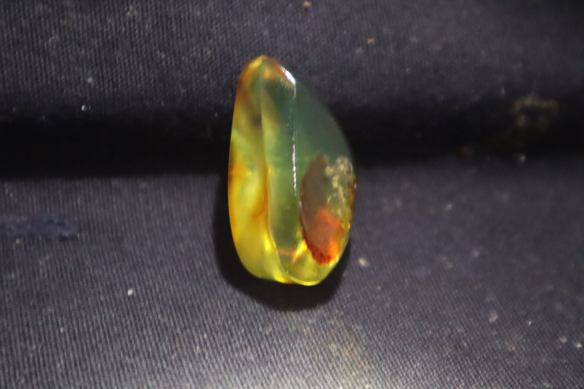 Real orange green polished Dominican amber 31mm – photo 11