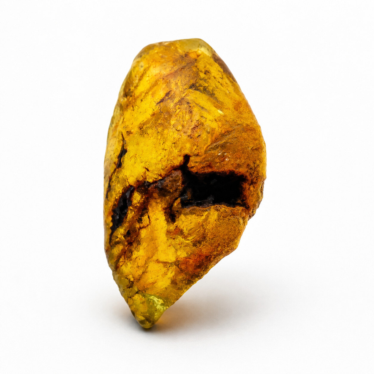 Natural Multicolor Blue Dominican Amber Rough Specimen Chunk 59mm 24.4g – photo 11