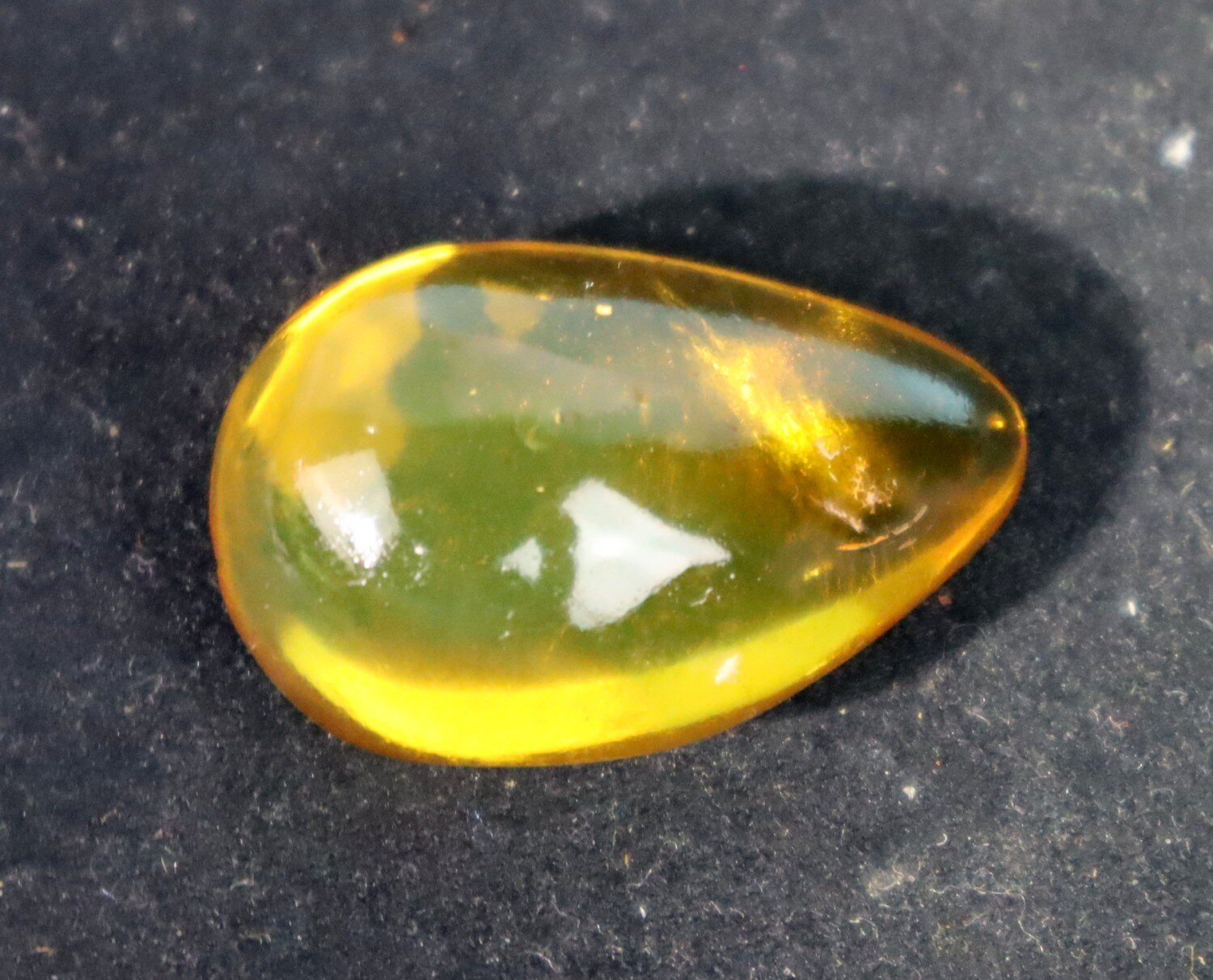 🦋 Natural Dominican Golden Amber with Preserved Organic Inclusion – 34mm 🦋 – photo 8