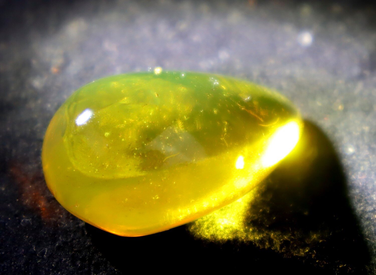 🦋 Natural Dominican Golden Amber with Preserved Organic Inclusion – 34mm 🦋 – photo 13