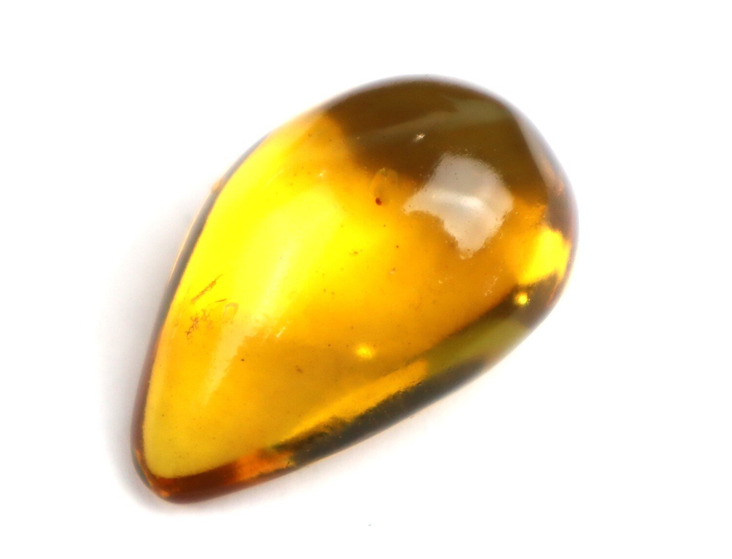 🦋 Natural Dominican Golden Amber with Preserved Organic Inclusion – 34mm 🦋 – photo 14