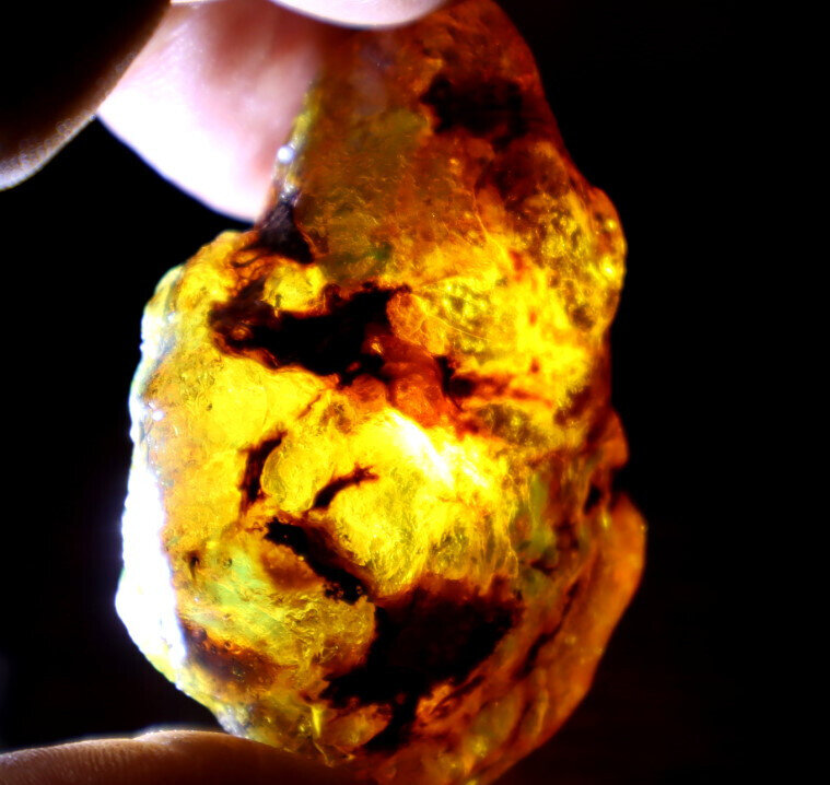 Excellent Natural Dominican Crystal Clear Green Blue Amber Rough Specimen 31gram – photo 13
