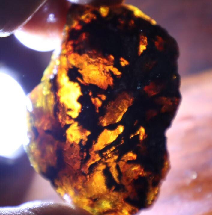 Natural Dominican Clear with inclusions Deep Blue Green Amber Rough Specimen – photo 9