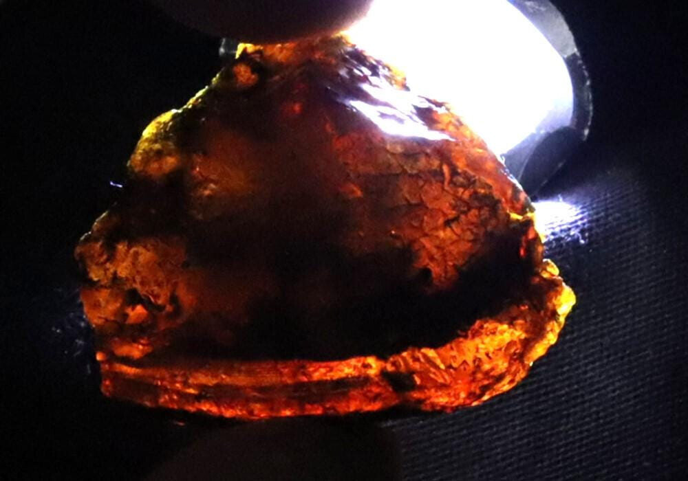 Beautiful Nat Dominican Translucent Blue Green Amber Rough Specimen 36mm 15.5gra – photo 9