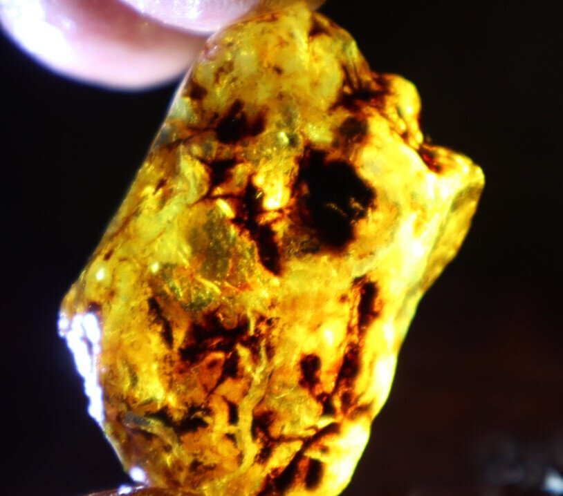 Lovely Natural Dominican Crystal Clear Sky Blue Amber Rough Specimen 40mm 10.5g – photo 8
