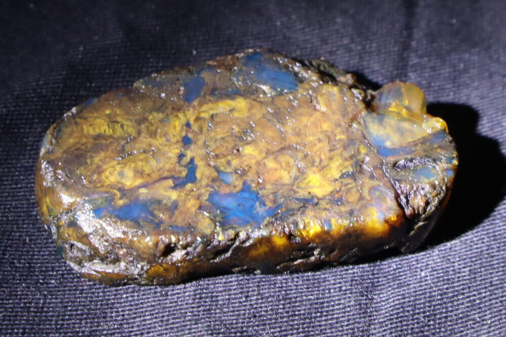 Natural Translucent Blue Butterscotch Amber Slab Slice Specimen 50mm 12grams – photo 4