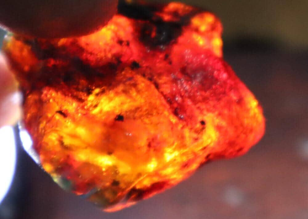 Excellent Natural Dominican Clear Deep Green Blue Amber Rough Specimen 39mm 13.5 – photo 6