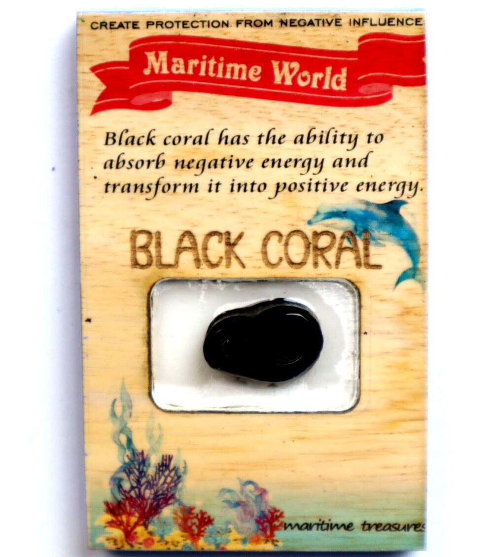 Handmade Refrigerator Black Coral Cabochon on Ficus Benjamin Wood Base 3x2 inch – photo 2