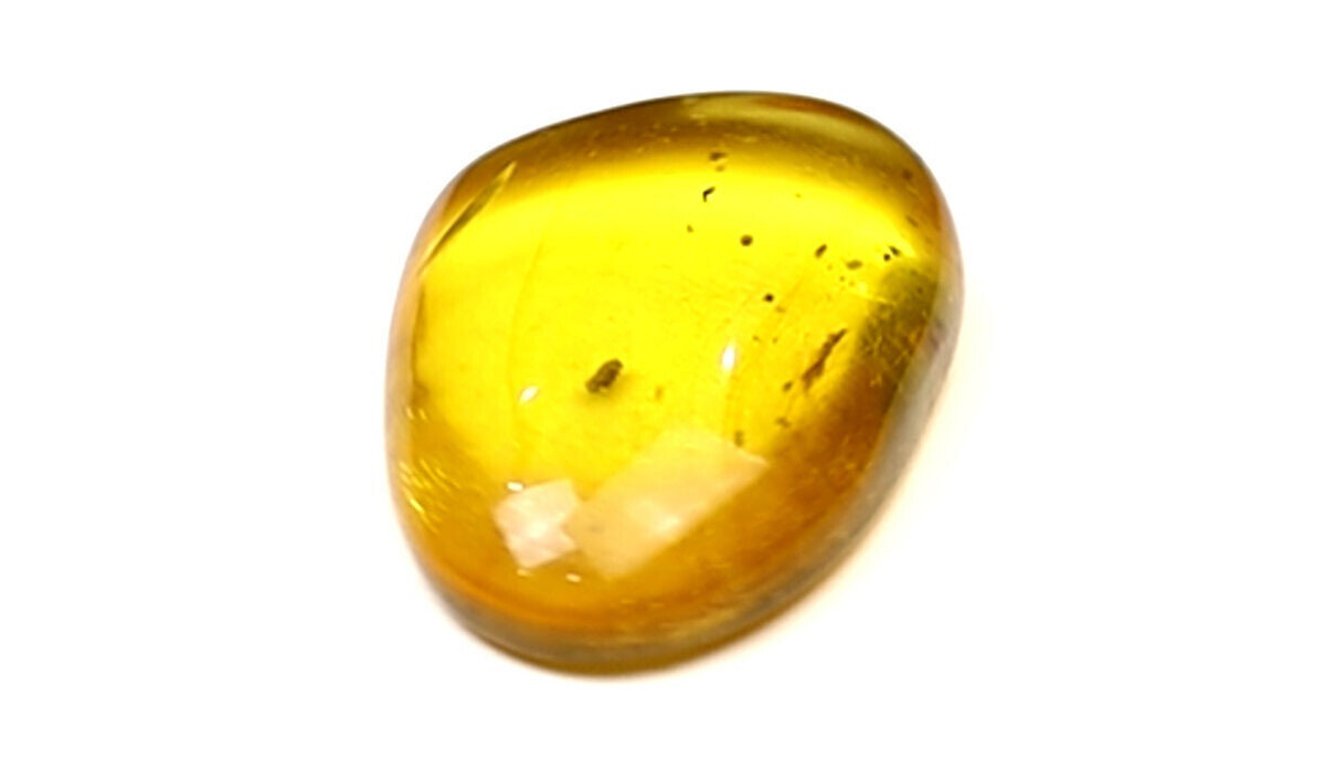 Splendid Natural Dominican Clear Yellow Amber Polished Stone Fossil Insect Bug – photo 13