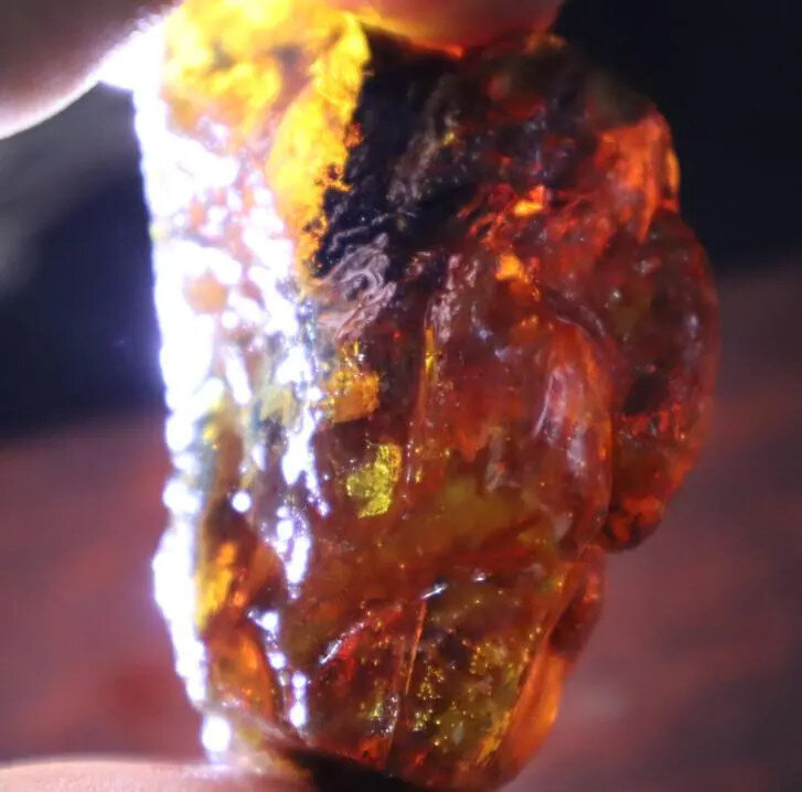 Beautiful Natural Dominican Clear Royal Blue Green Amber Rough Specimen 51mm 38g – photo 7