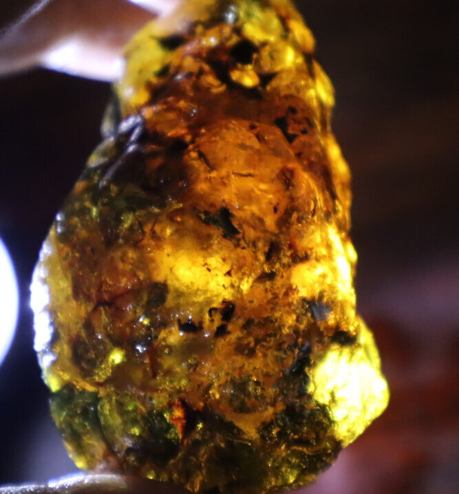Beautiful Natural Dominican Clear Light Blue Green Amber Rough Specimen 52mm 44g – photo 13