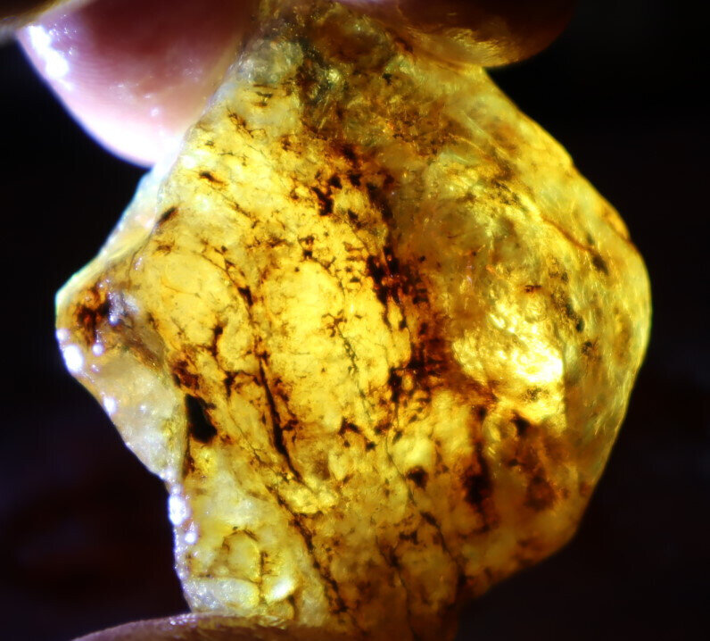 Natural Dominican Crystal Clear Light Blue Yellow Amber Rough Specimen 45mm 21g – photo 13