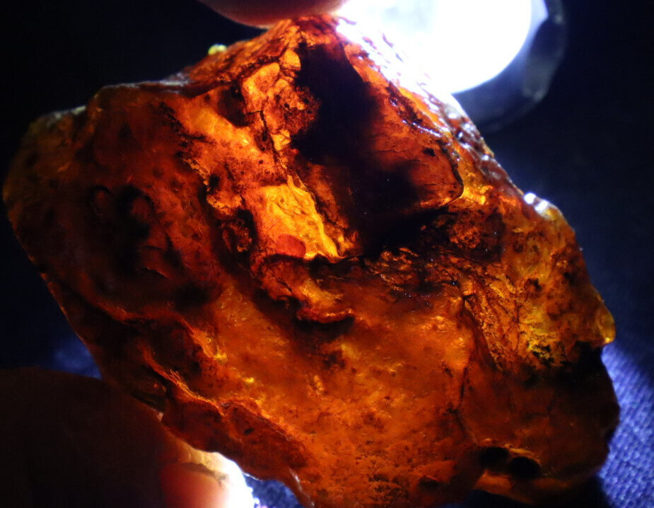 Exquisite Natural Dominican Clear Sky Blue Amber Rough Specimen 57mm 25g – photo 5