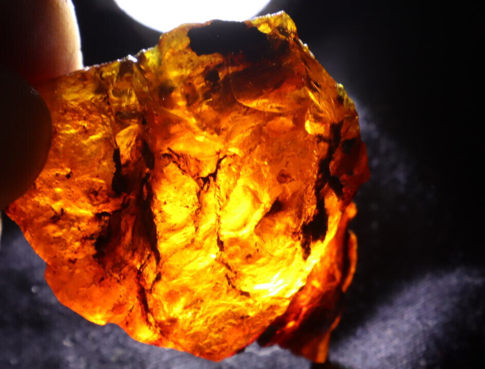 Outstanding Natural Dominican Clear Deep Blue Amber Rough Specimen 59mm 21g – photo 15
