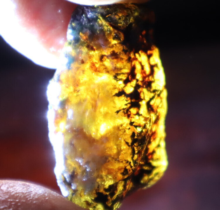 Lovely Natural Dominican Clear Sky Blue Amber Rough Specimen 38mm 7.4g – photo 11