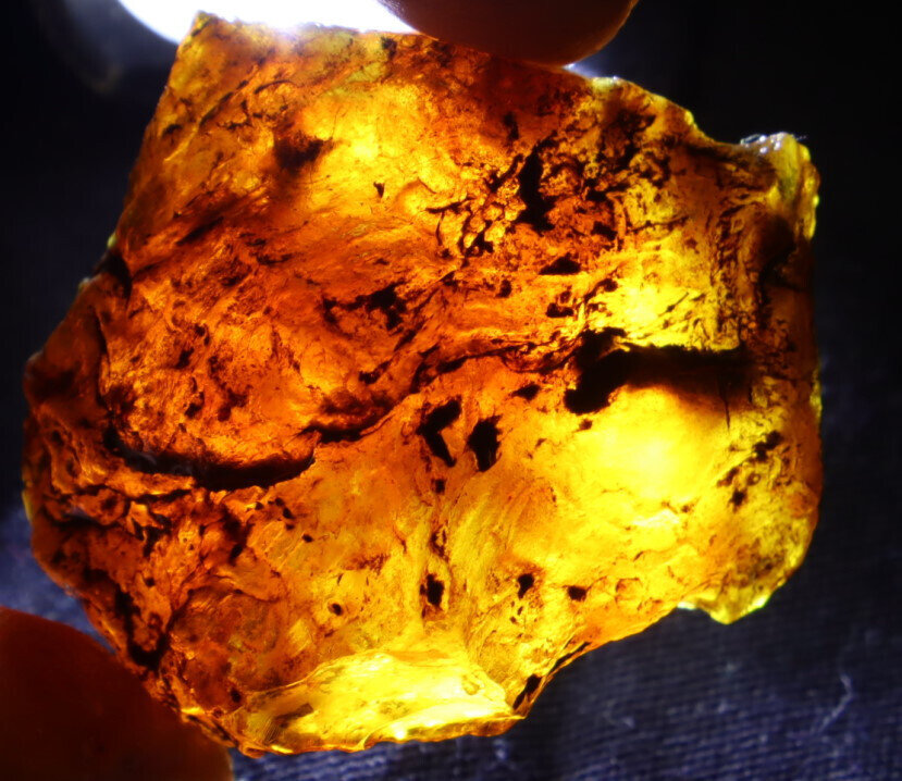 Exquisite Natural Dominican Clear Sky Blue Amber Rough Specimen 40mm 13g – photo 11