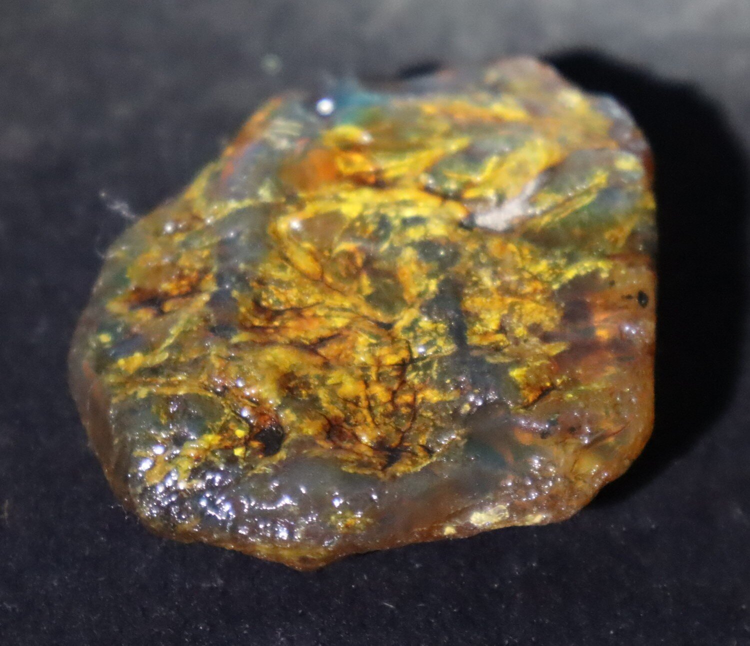 Natural Dominican Blue Green Amber Rough Specimen 60mm 20.5g Clear – photo 9