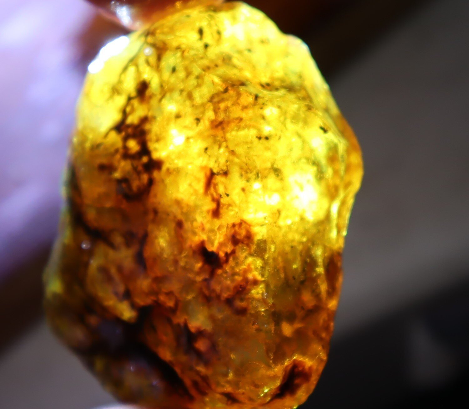 Charming Design Natural Dominican Clear Sky Blue Amber Rough Specimen 47mm 20g – photo 12