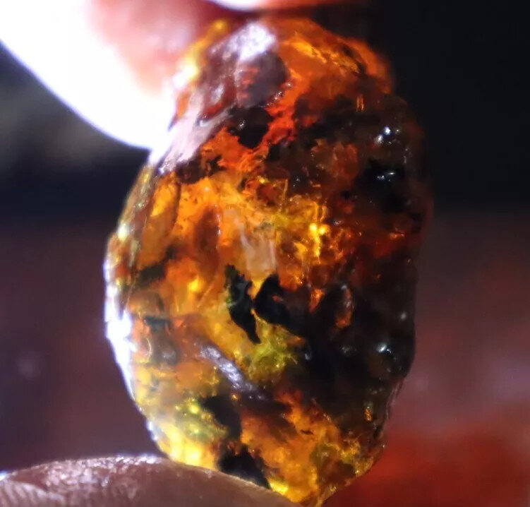 Excellent Natural Dominican Clear Sky Blue Amber Rough Specimen 41mm 15.5g – photo 4