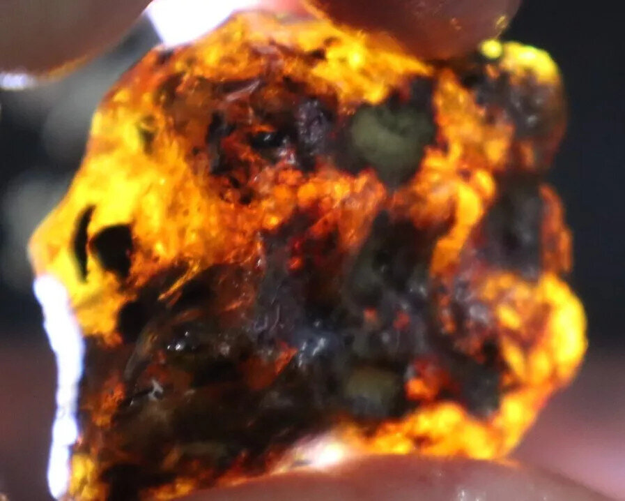 Excellent Natural Dominican Clear Sky Blue Amber Rough Specimen 41mm 15.5g – photo 8