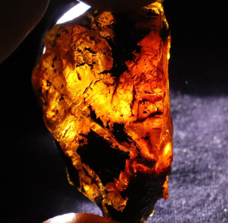 Exquisite Natural Dominican Clear Orange Blue Amber Rough Specimen 50mm 17.8g – photo 6