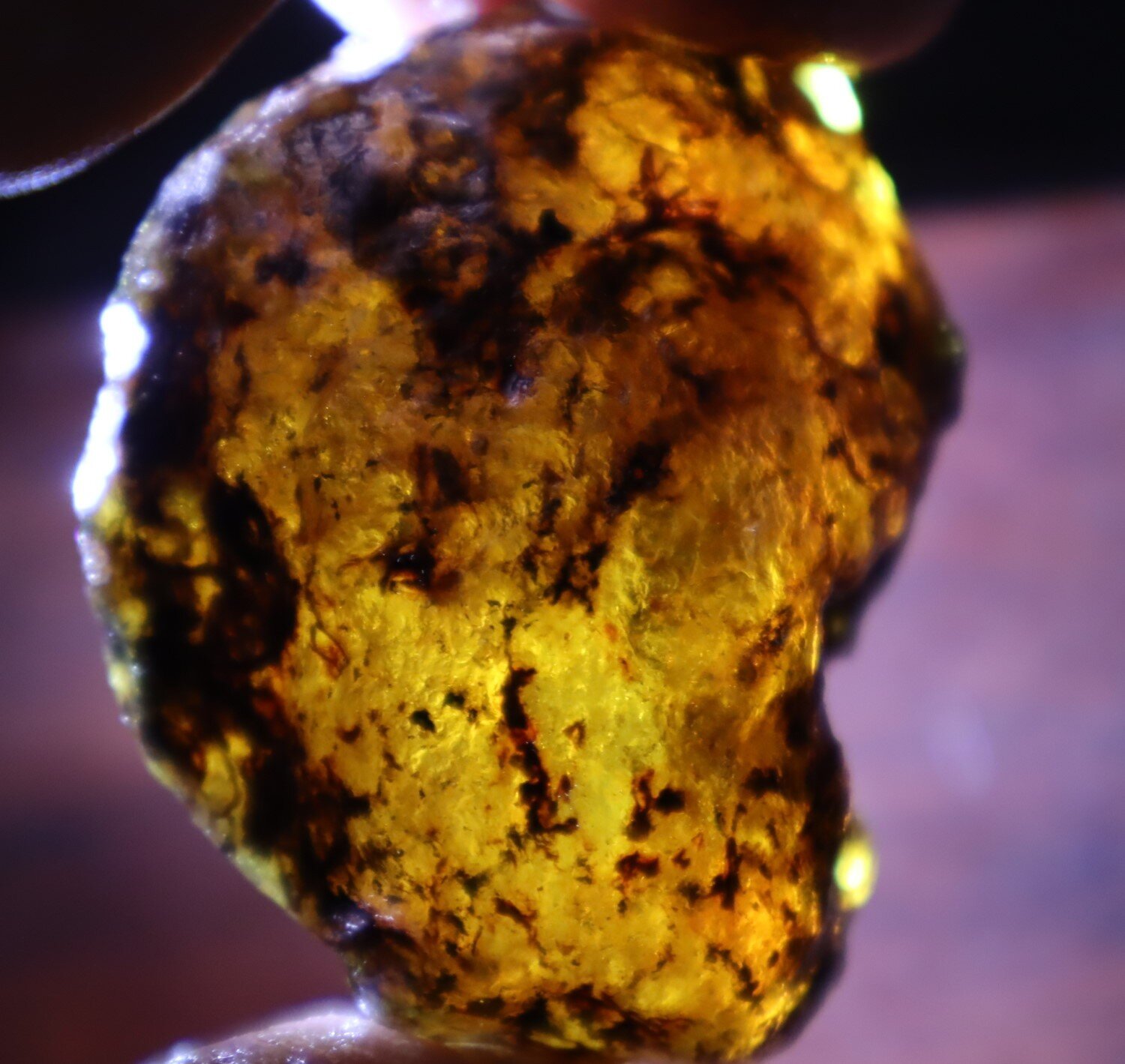 Natural Dominican Blue Green Amber Rough Specimen 51mm 30g Clear – photo 7