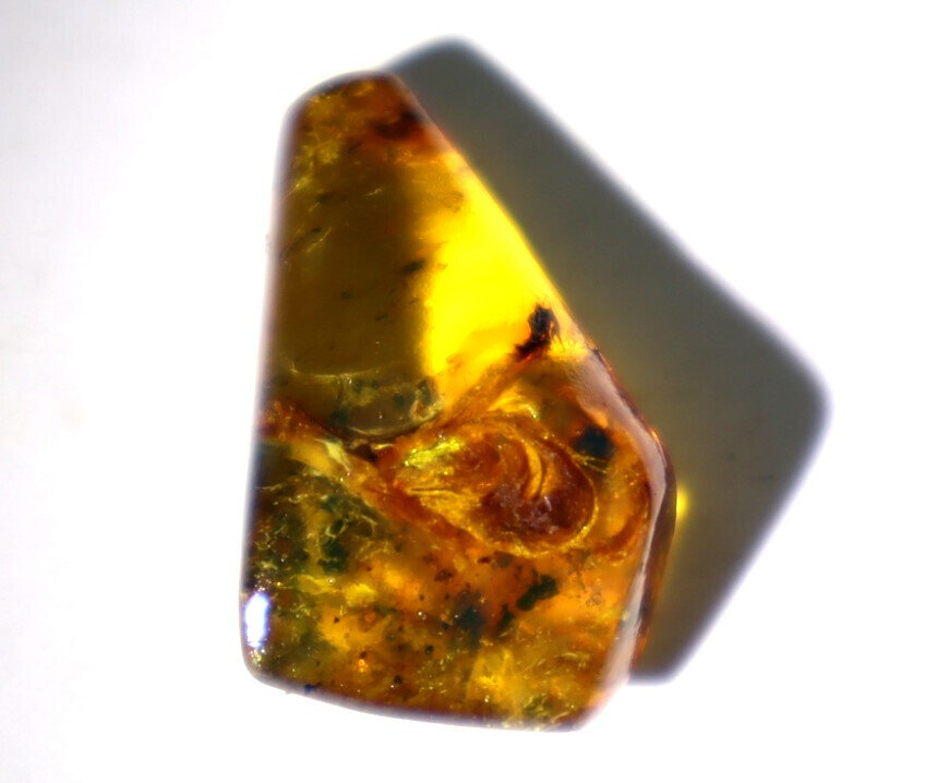 Rarest Natural Dominican Clear Orange Brown Amber Polished Pendant Stone 24mm – photo 4