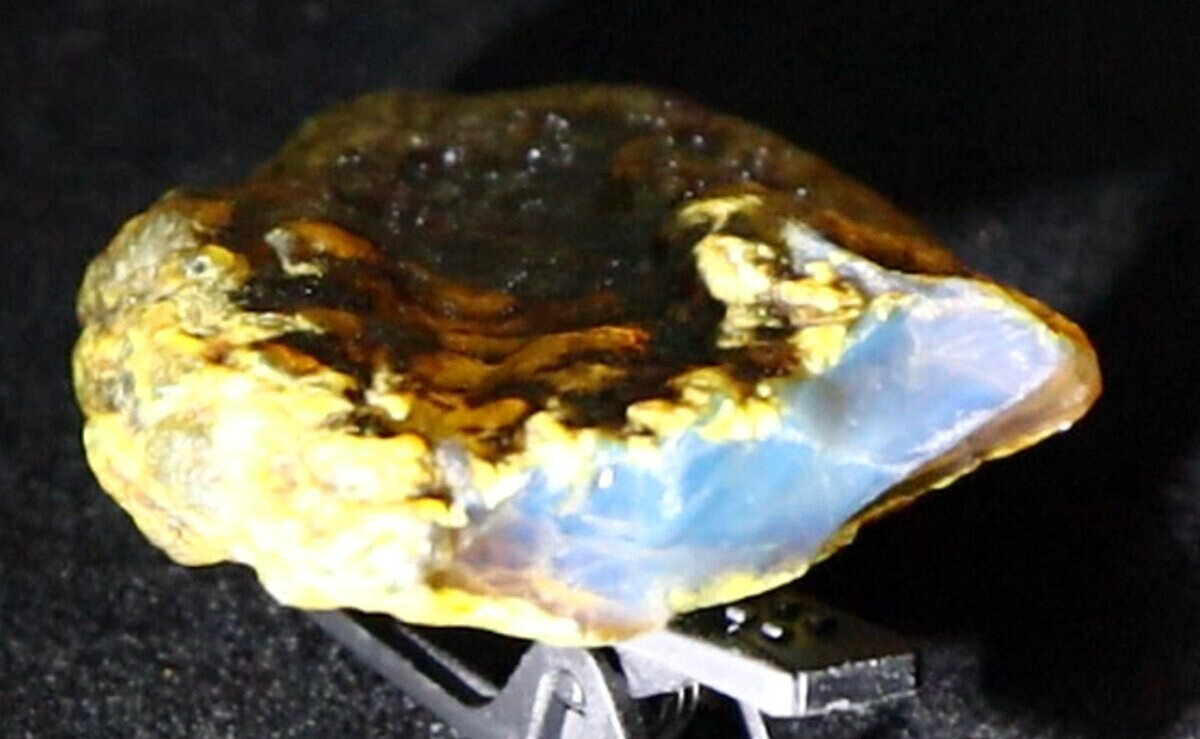 Natural Dominican Blue Amber Rough Specimen 42mm 10g Clear – photo 6