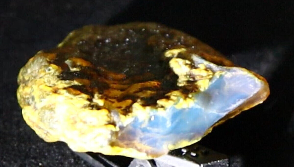 Natural Dominican Blue Amber Rough Specimen 42mm 10g Clear – photo 10