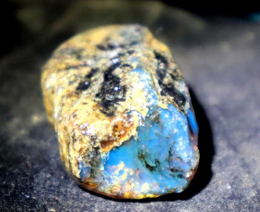 Exquisite Natural Dominican Translucent Deep Blue Amber Rough Specimen 42mm 12.8 – photo 7
