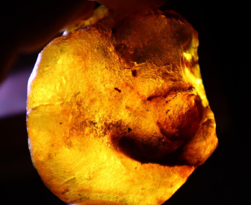 Impressive Natural Crystal Clear Sky Blue Yellow Amber Rough Specimen 54mm 24g – photo 10