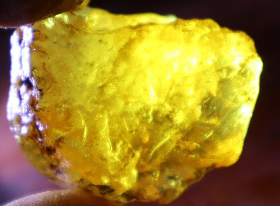 Lovely Natur, Dominican Crystal Clear Deep Yellow Amber Rough Specimen 34mm 11.8 – photo 6