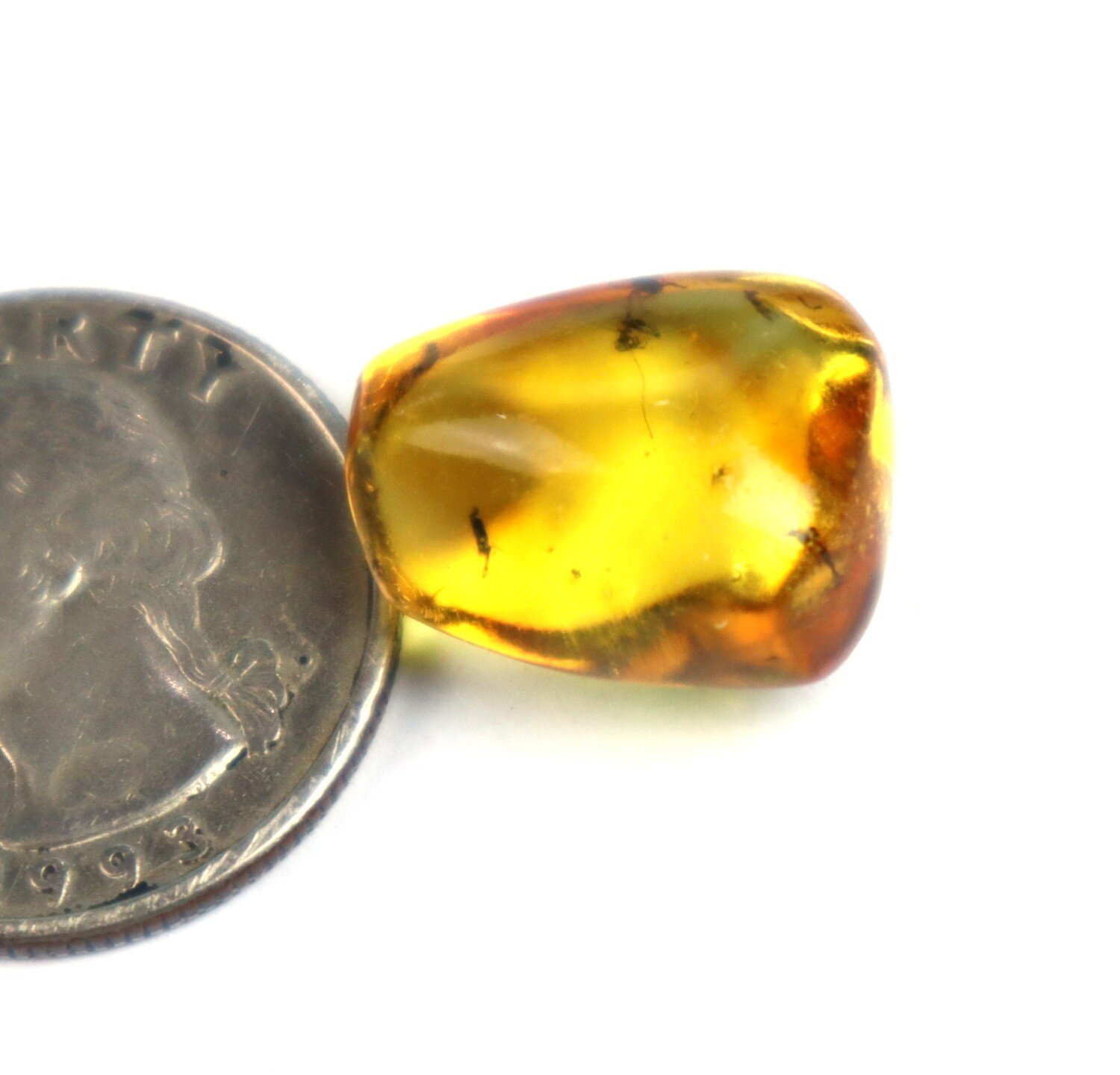 🪶 Natural Dominican Yellow Amber with Insect Inclusion – photo 5